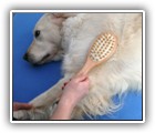 Bürstenmassage Schultermuskulatur